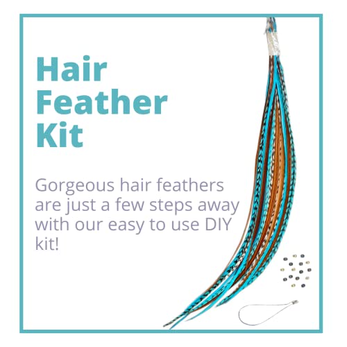 Feather Hair Extensions, 100% Real Rooster Hair Feathers, Long Natural and Turquoise Blue Colors, 20 Feathers with Beads and Loop Tool Kit NBT - hopeschwing