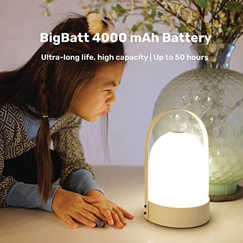 BASK KIN Portable Cordless Lantern Table Lamp | USB Rechargeable - interiorsbydebbi