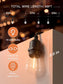 addlon LED Outdoor String Lights 48FT with 2W Dimmable Edison Vintage Shatterproof Bulbs and Commercial Grade Weatherproof Strand - ETL Listed Heavy-D